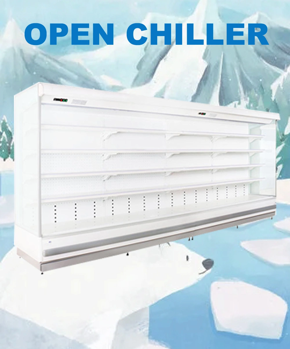 Supermarket Beverage, Meat, Fruit & Vegetable, Delicatessen Vertical Refrigerator Commercial Multideck with Door Chiller