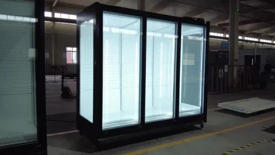 Réfrigérateur commercial vitrine d'affichage de porte entièrement en verre pour boissons/congélateur de fruits et légumes
