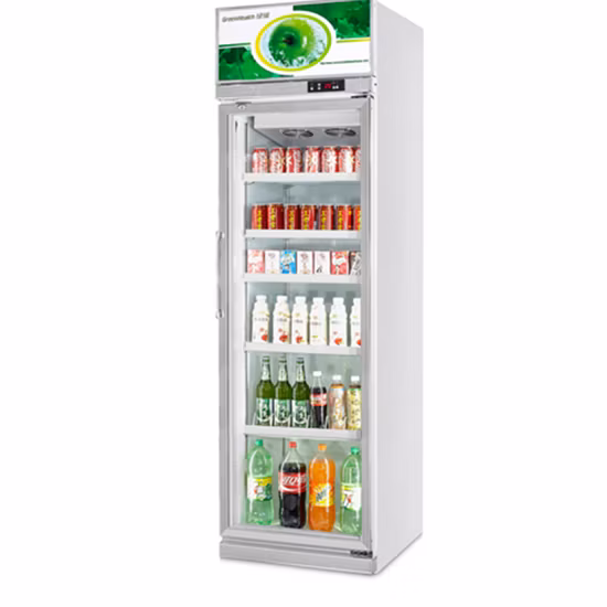 Afficher sous le refroidisseur de comptoir/réfrigérateur à boissons/porte en verre vitrine de refroidisseur
